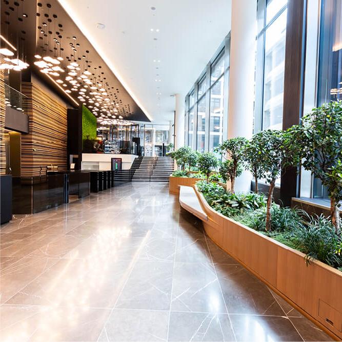 空旷的现代办公空间，充满了光和绿色的植物