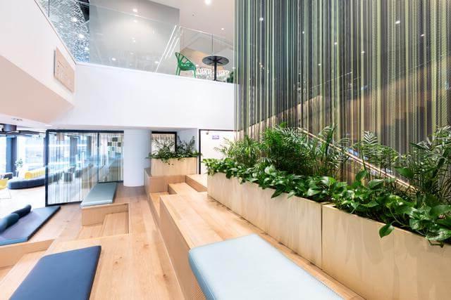 空的现代办公空间，白色和浅色的木材，绿色的植物